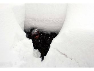 Kar kalınlığı 2 metreyi geçti: Evler kayboldu