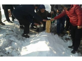 "Ege’de botlarda, Doğu’da soğukta bitiyor"