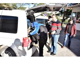 Hırsızı burnu ele verdi