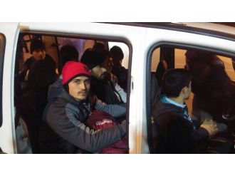 41 kaçak göçmen yakalandı