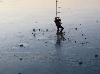 Buz tutan gölde martı kurtarma operasyonu