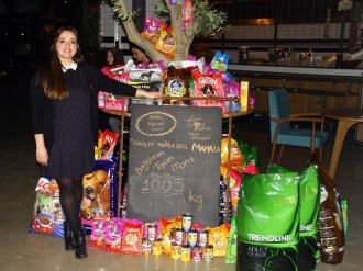 Konsere giriş parayla değil mamayla