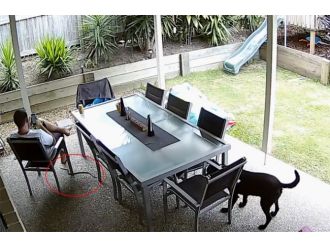 Dünyanın en zehirli yılanlarından biri...