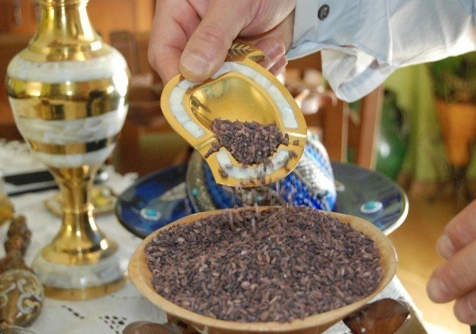 Kahramanmaraş’ta 1,5 Ton Siyah Pirinç Üretildi