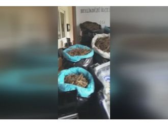 Villası uyuşturucu imalathanesi çıktı