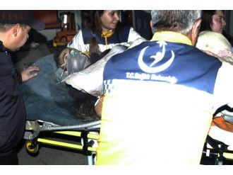 Acemi avcı kendisini avladı