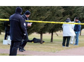 Çocuk parkında intihar etti