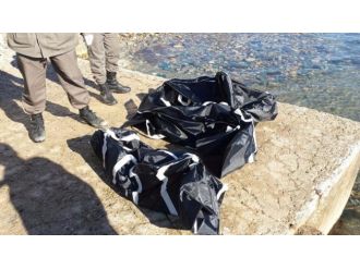 Yine o acı manzara!