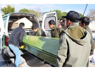 Yeni yılın ilk bilançosu: Umut yolu yüzlercesine ölüm getirdi