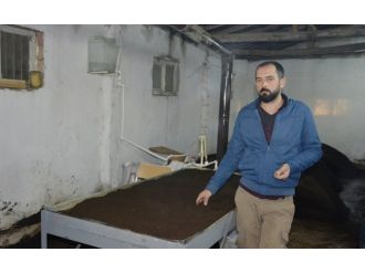 Elinin altında tam 800 bin solucan var