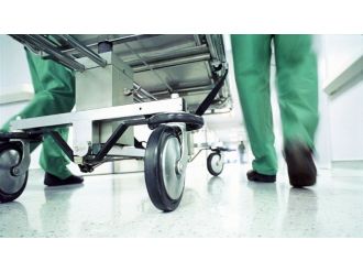 KKTC’de domuz gribine 4. kurban