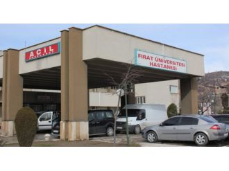 2 yaşındaki çocuk domuz gribinden öldü