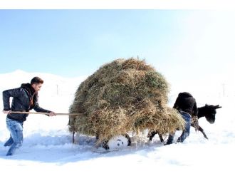 Zorlu kış şartları