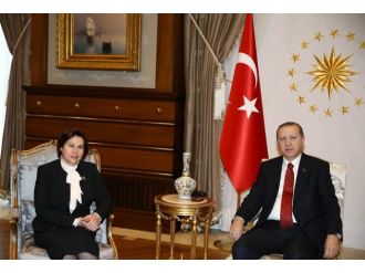 Cumhurbaşkanı Danıştay Başkanıyla görüştü