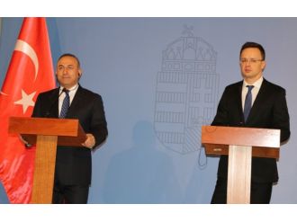 Çavuşoğlu: Bu para Türklerin cebine gelmiyor