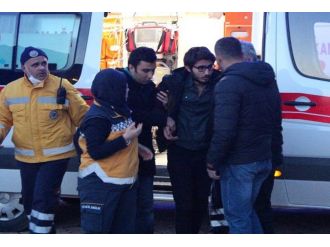 Bir aslan gitti geride 3 aslan kaldı