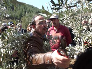 Üreticilere Uygulamalı Budama Eğitimi