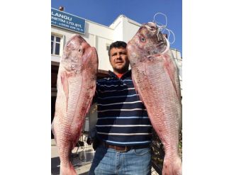 Oltaya takılan balıklar şoke etti