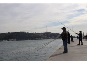 İstanbullular güneşli havanın tadını çıkardı