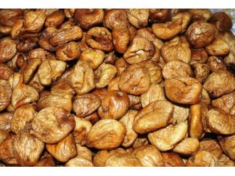 İncir üreticileri yeni dönemden umutlu