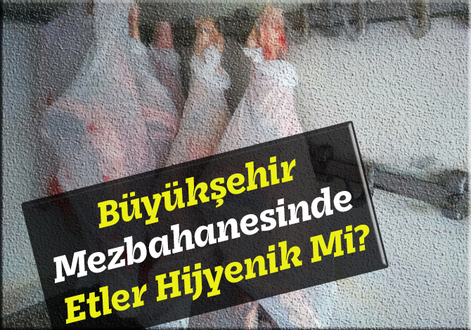 Büyükşehir Mezbahanesinde Etler Hijyenik Mi?