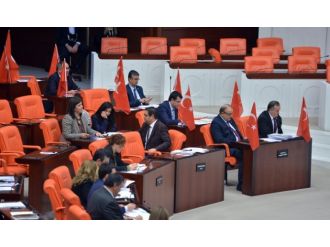 MHP’li vekiller Meclis’e bayraklarla geldi