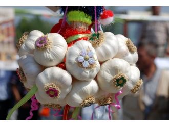 Son 5 yılın zirvesine çıktı