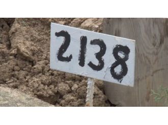 İntihar mı infaz mı