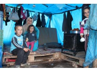 "Bize bir tek Erdoğan sahip çıktı"