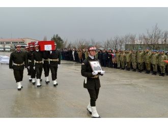 İdil şehidi törenle memleketine uğurlandı