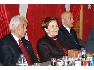 Meral Akşener akademisyenlerle görüştü