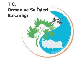 Orman ve Su İşleri Bakanlığı’ndan ’Cerattepe’ açıklaması