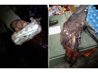 Teröristlerin camiye kurduğu tuzak imha edildi