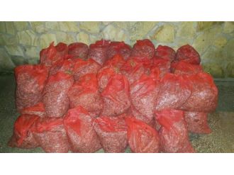 Edirne’de 700 kilo midye ele geçirildi