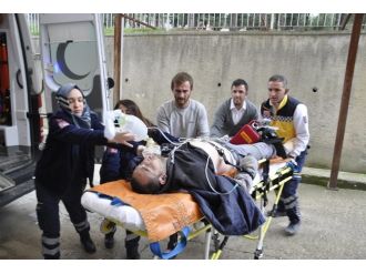 Feci şekilde can verdi