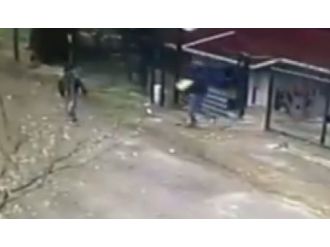 Gündüz ortası televizyon hırsızlığı kamerada