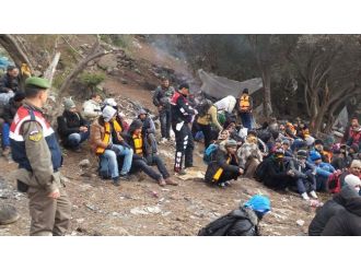 149 kaçak yakalandı