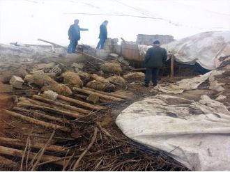 Çöken ahırda 70 koyun telef oldu