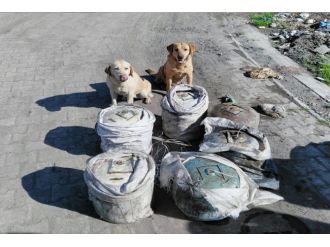 Askerin dikkati olası bir faciayı önledi