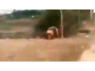 İmha etmeye çalıştığı bomba patladı