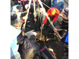 Kanala düşen hamile ineği itfaiye kurtardı