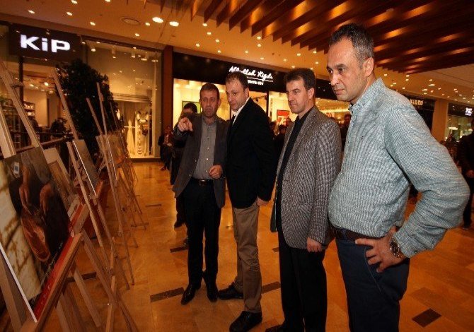 Piazza’da 12 Şubat, 12 Özel Fotoğraf İle Canlandı