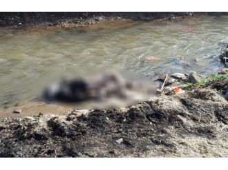 Su kanalından vahşet çıktı