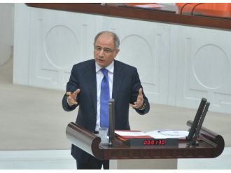 Bakan Ala yakalanan kaçak göçmen sayısını açıkladı