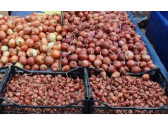 Şubatta zam şampiyonu kuru soğan