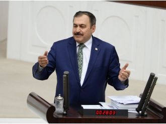 Bakan Eroğlu: "Türkiye’de orman varlığı artıyor"