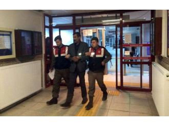 Üst düzey PKK’lı yakalandı