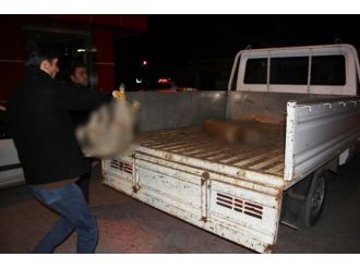 Bunu yapanlar insan olamaz!