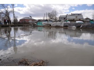 Nehir taştı: Köy sular altında kaldı