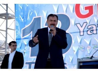 Bakan Eroğlu’ndan Cerattepe açıklaması